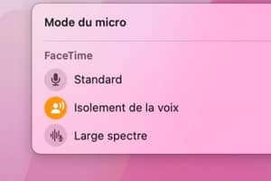 Modifier les options audio de FaceTime sur Mac (standard, isolement de la voix, large spectre)