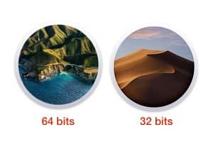 Dual boot macOS Big Sur et Mojave pour utiliser les apps 64 et 32 bits sur Mac